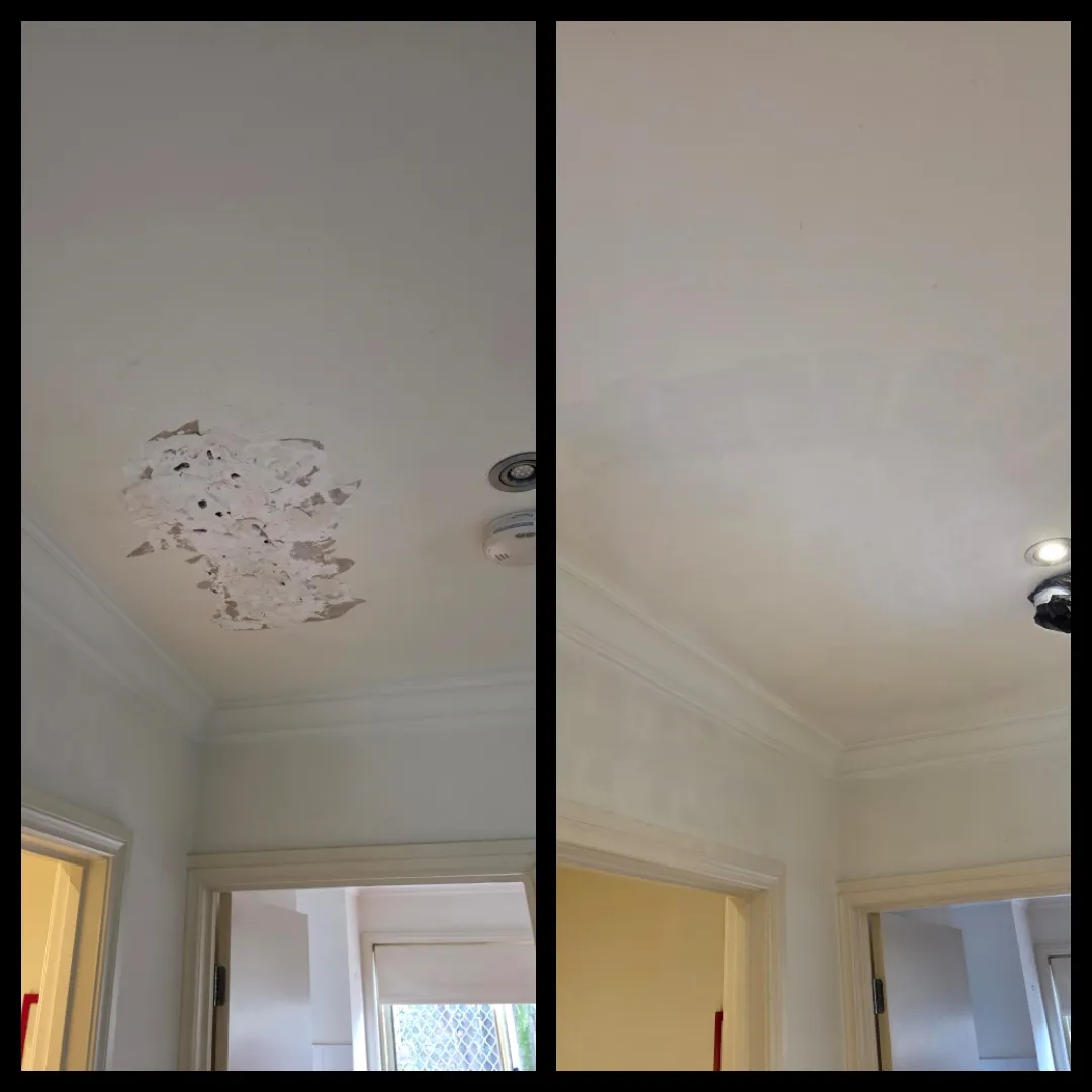 Ceiling plaster repair