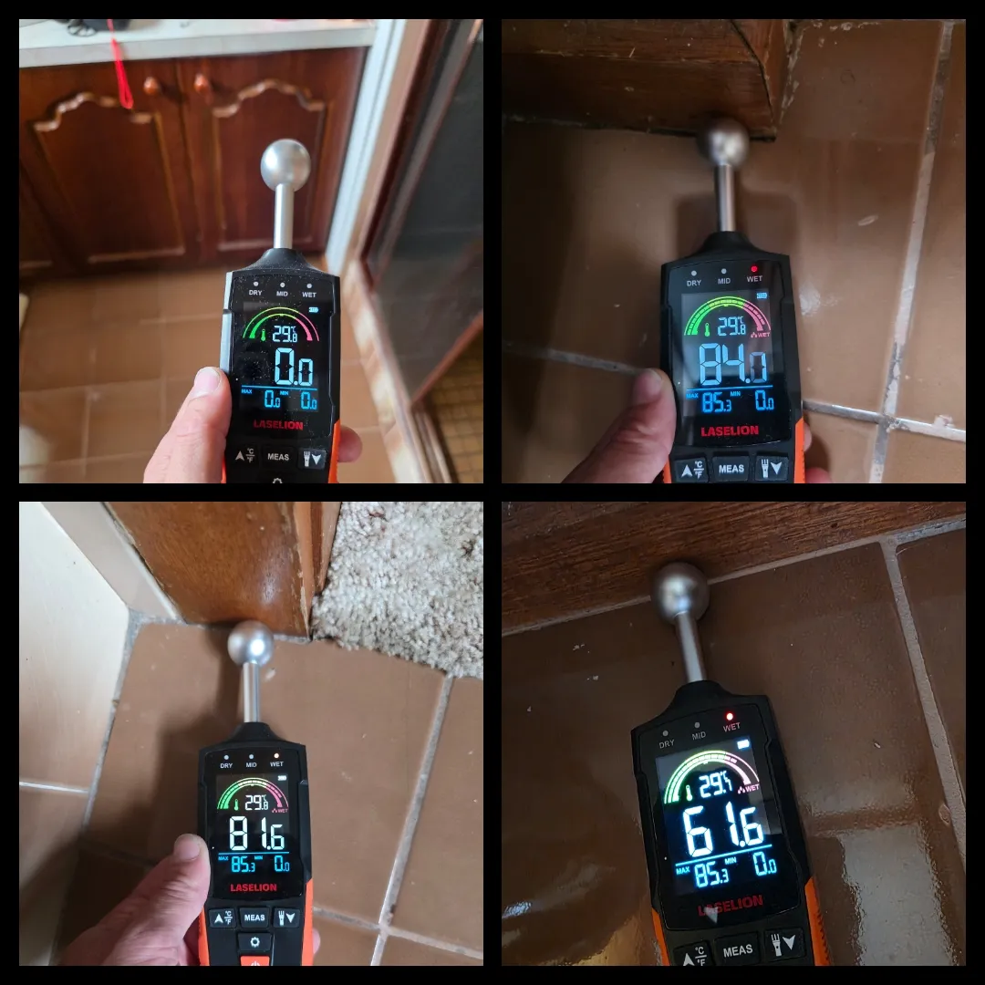Moisture meter leak detection readings
