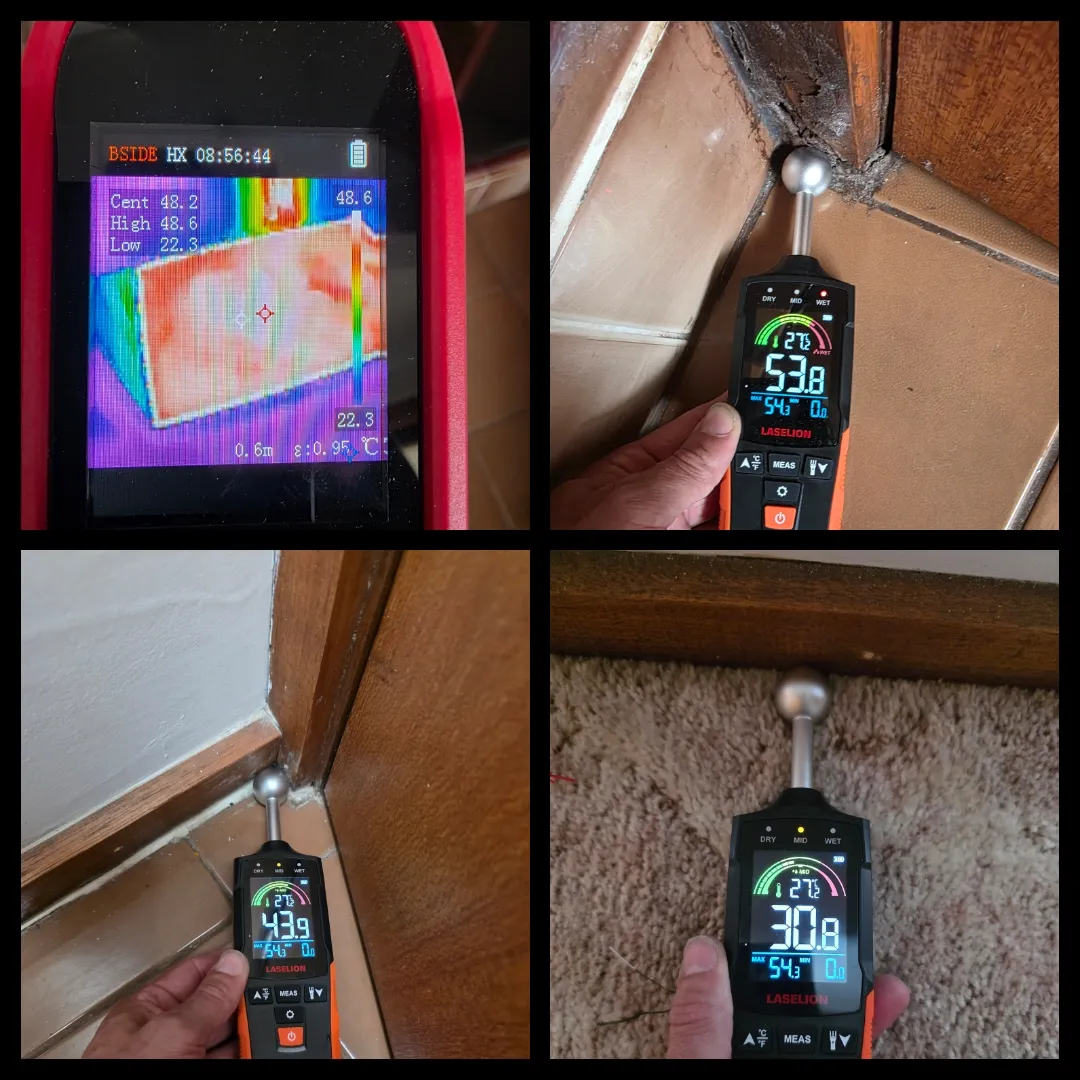 Thermal and moisture meter leak investigation