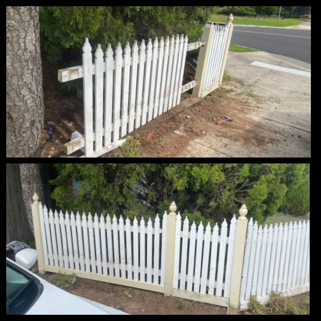 Fence repair and painting
